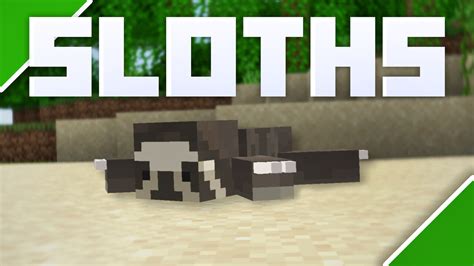 how to tame a sloth in minecraft